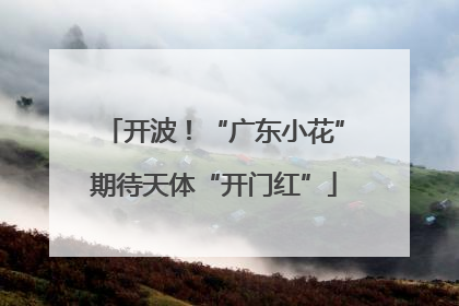 开波！“广东小花”期待天体“开门红”